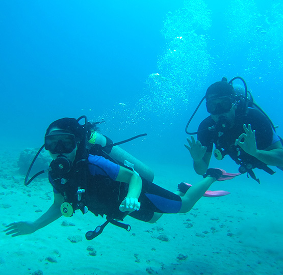 Costa Rica Diving, SCUBA Diving, Drake Bay, Cano Island, PADI Resort, SCUBA Diving Lessons, Southern Pacific Ocean Region, Costa Rica SCUBA Diving
