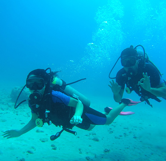 costa rica, buceo, buceo en Costa Rica, buceo en isla del cano, buceo, isla del cano, cursos de buceo, clases de buceo, oceano de la region del pacifico sur